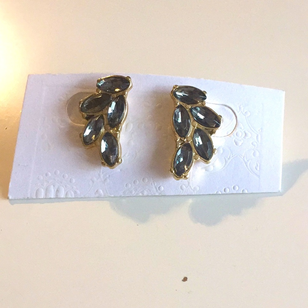 Small leaf like earrings